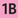 1B