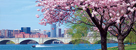 Potomac River Cruises on American Glory