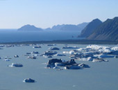Kenai Fjords National Park