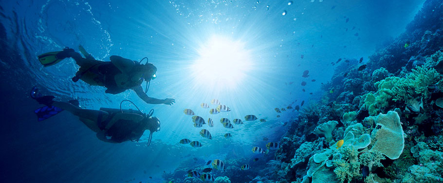 Scuba Diving