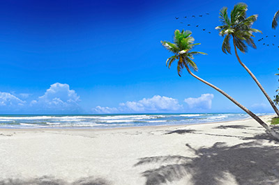 New Year's Cruises to the Caribbean
